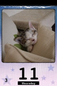デザイン変更2